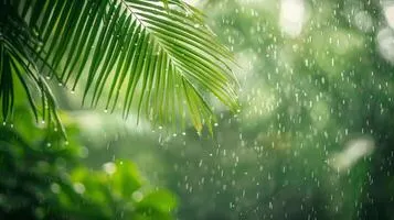 The Spirit of Sawan Across India and What It Truly Means Beyond the Rain and Rituals